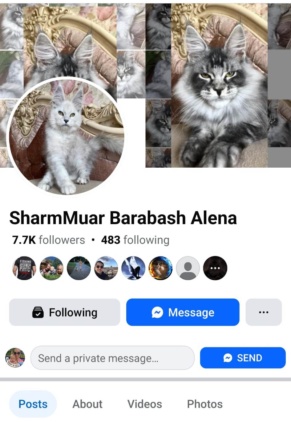 sharmmuar 1