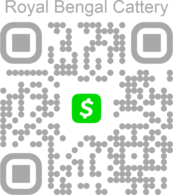 qrcod ben cashapp