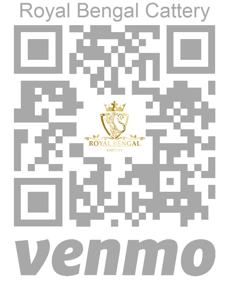 qrcod ben vemno