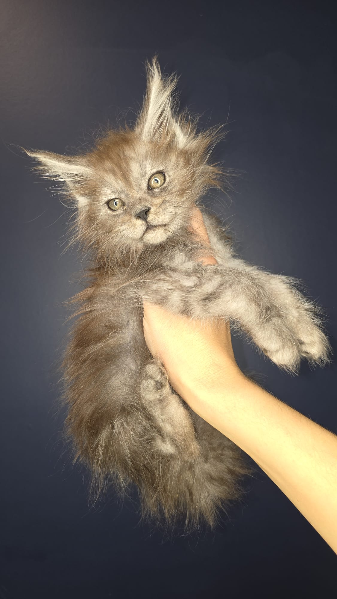 TEST1