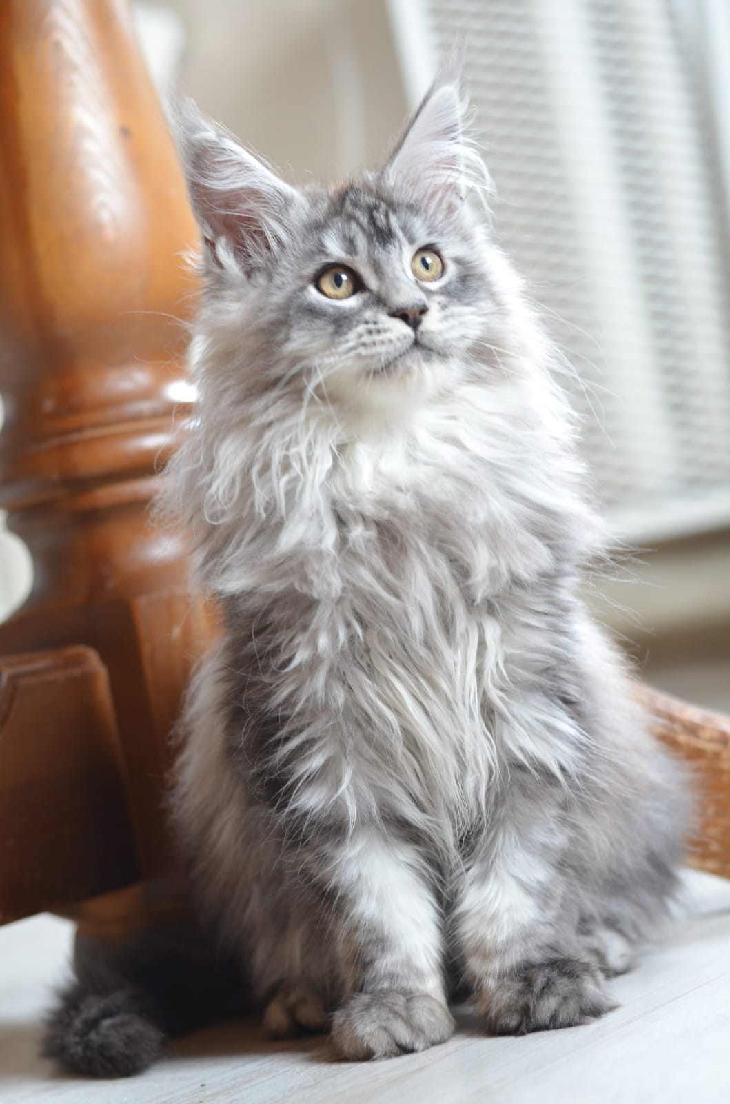 TEST1