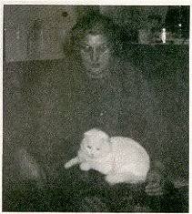 William Ross Scottish Fold